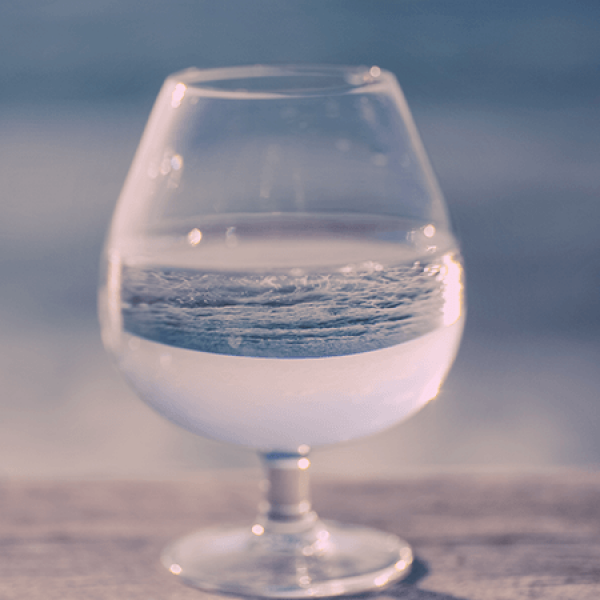 מוטיבציה פנימית לעומת מוטיבציה חיצונית